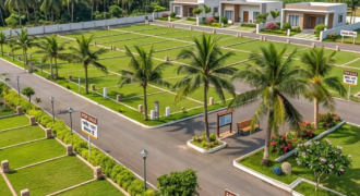 The Rising Palm
